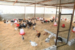 bd680552-0372-447f-9d04-2e76554d4bd3