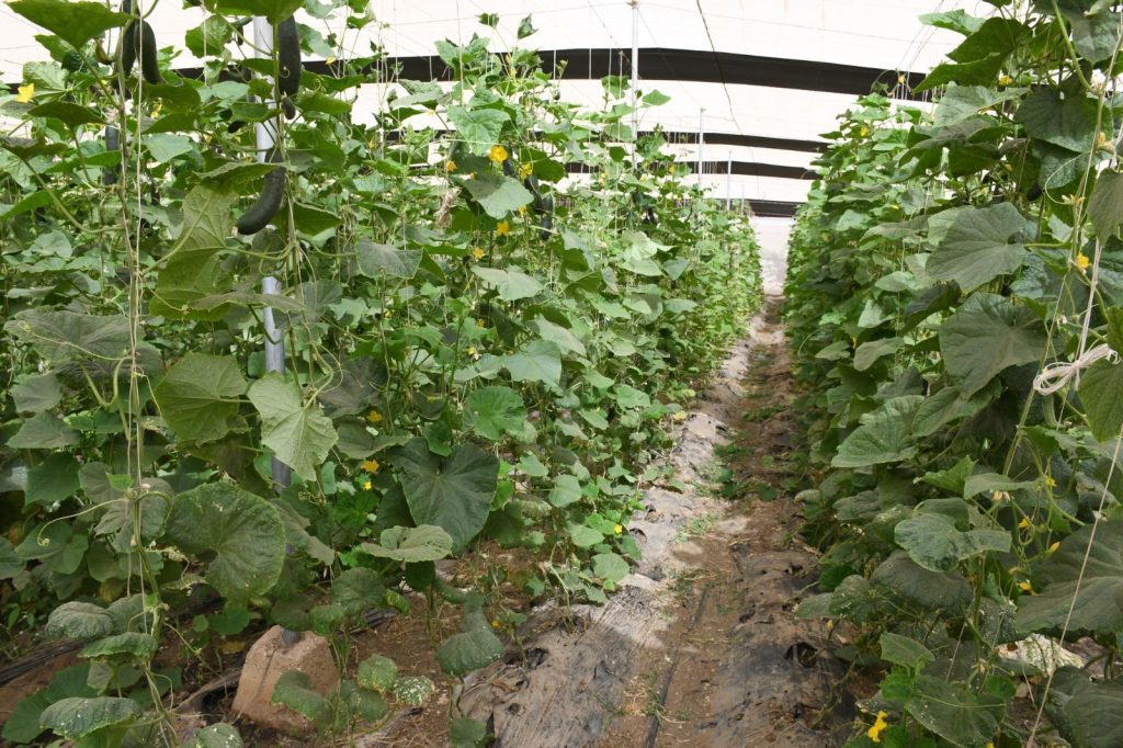 cf355840-d88d-4a0e-b333-f1f135419b85